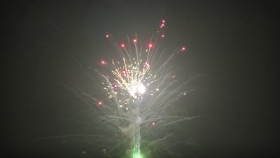 #19256 Cakes 1.2 36 shots