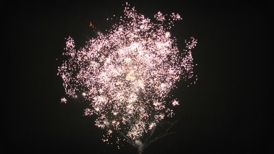 #19240 Cakes 1.2 20 shots