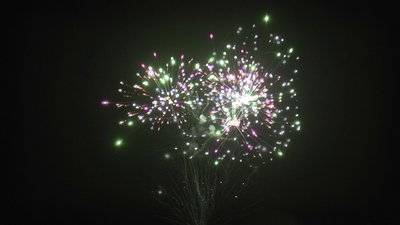 #19242 盆花1.2 24发数