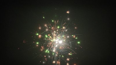 #19191 Module 盆花1.0 49发数