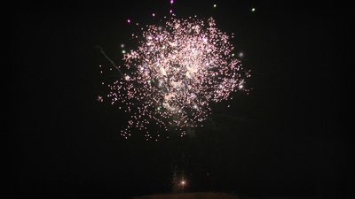 #19235 Cakes 1.2 16 shots