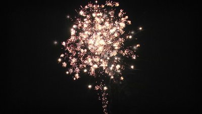 #17238 Compact 0.8 49 coups