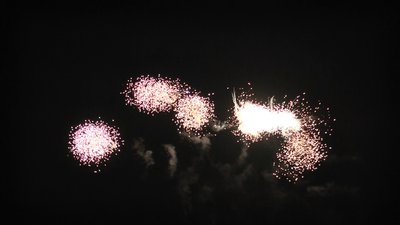 #19269 Cakes 1.2 49 shots