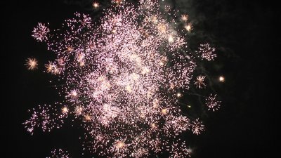 #19059 Cakes 1.0 19 shots