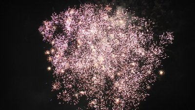 #19063 Cakes 1.0 37 shots