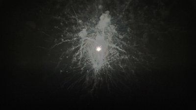 #19074 Cakes 1.2 25 shots