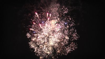 #19085 Cakes 1.2 25 shots