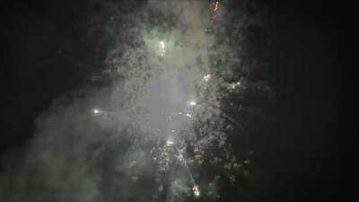 #14786 盆花1.2 37发数