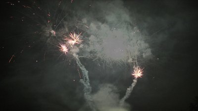 #19337 Cakes 1.0 72 shots