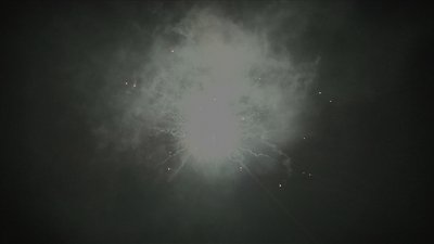 #15193 盆花1.2 25发数