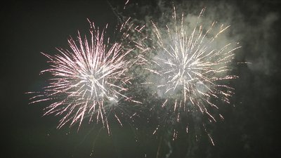 #19360 Cakes 1.2 142 shots