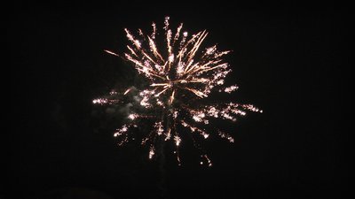 #19642 Cakes 1.2 25 shots