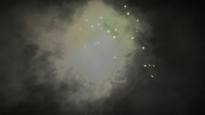 #17816 盆花0.8 48发数