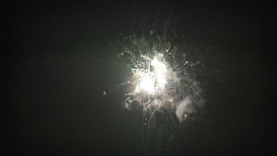 #17646 盆花0.8 10发数