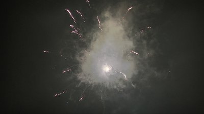 #19059 Cakes 1.0 19 shots