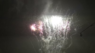 #20164 盆花27x0.8"/21x1.0" 48发数