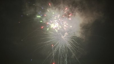 #14986 Module Cakes 1.0 49 shots