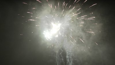 #20167 盆花20x0.8"/32x1.0"/14x1.2" 66发数