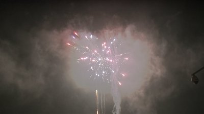 #20168 盆花50x0.8"/16x1.0"/21x1.2" 87发数