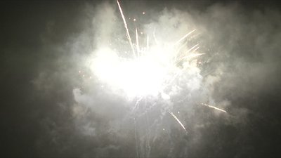 #20166 盆花1.2 36发数