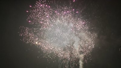 #20169 盆花1.2 100发数