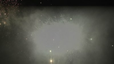 #20162 盆花1.0 30发数