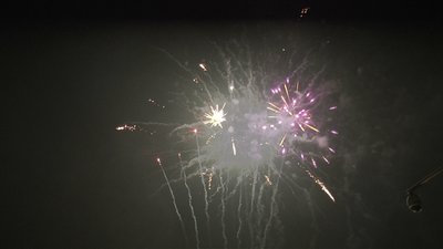 #20170 盆花1.2 101发数