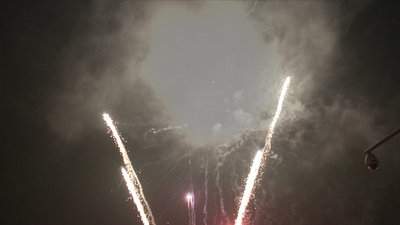 #20171 盆花1.2 105发数