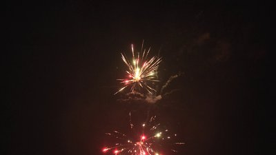 #20187 Module Cakes 1.0 16 shots