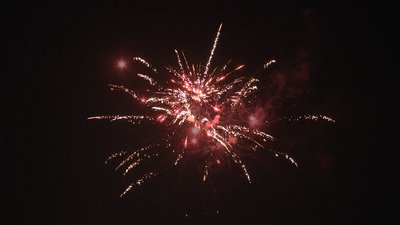 #20189 Module Cakes 1.0 16 shots