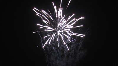 #20225 盆花42x0.8"/5x1.2" 47发数