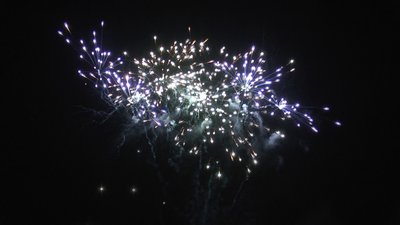 #20227 盆花1.0 49发数