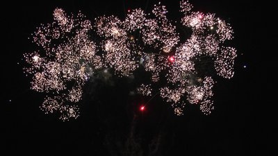 #20228 盆花1.2 15发数