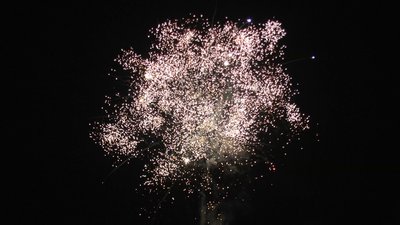 #20229 盆花1.2 25发数