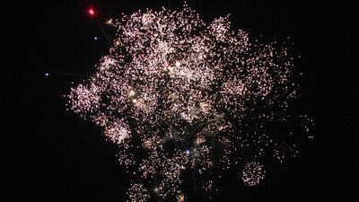 #20230 盆花10x1.0"/6x1.2" 16发数