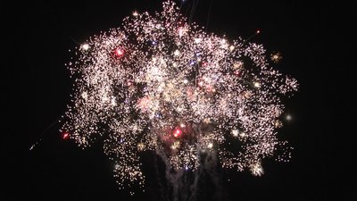 #20231 盆花12x1.0"/15x1.2" 27发数