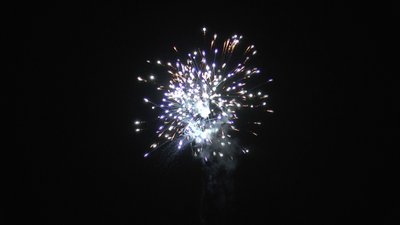 #20232 盆花1.0 30发数