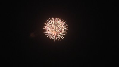 #20253 Shell 6.0"