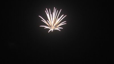 #20245 Shell 5.0"