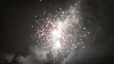 #20427 Cakes 1.0 49 shots