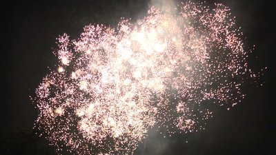 #20421 Cakes 1.0 53 shots