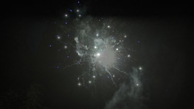 #20442 Compact 0.8 49 coups