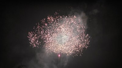 #20420 Cakes 1.2 49 shots