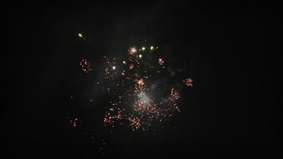 #14976 盆花0.6 32发数