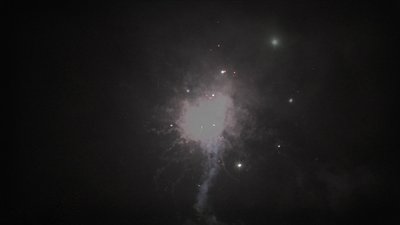 #20423 Cakes 1.0 16 shots