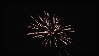 #18952 Módulo Tortas 1.0 16 tiros