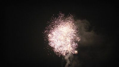 #15183 盆花1.0 36发数