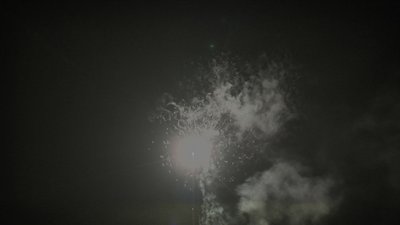 #15195 盆花1.2 25发数