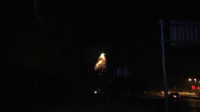 #20486 Sunflower(small)