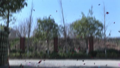 #20506 Party Popper 78.0cm d5.0